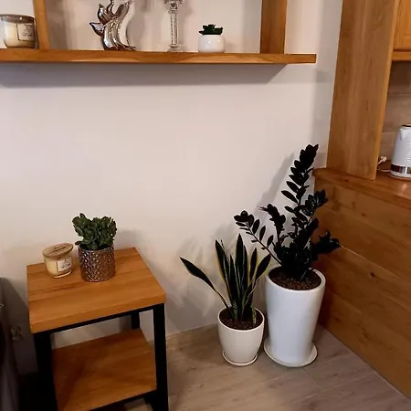 アパート Park Starogard Gdański