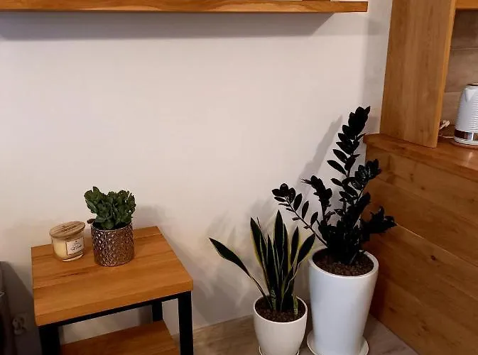 Lägenhet Park Starogard Gdański